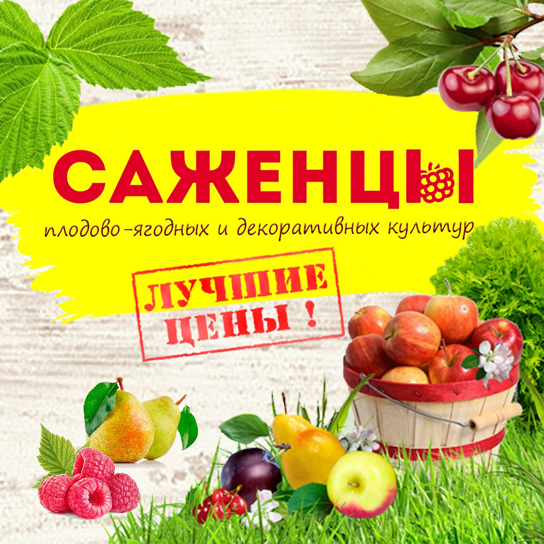 Саженцы плодовых и ягодных культур