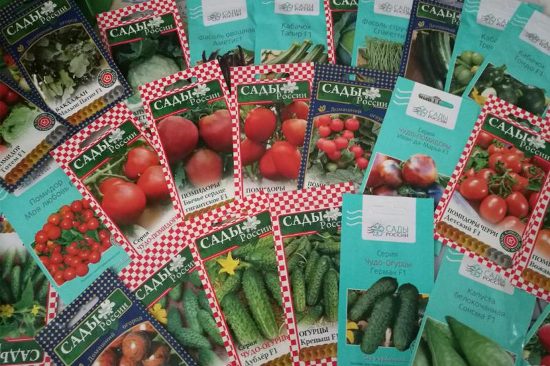 Новое поступление семян