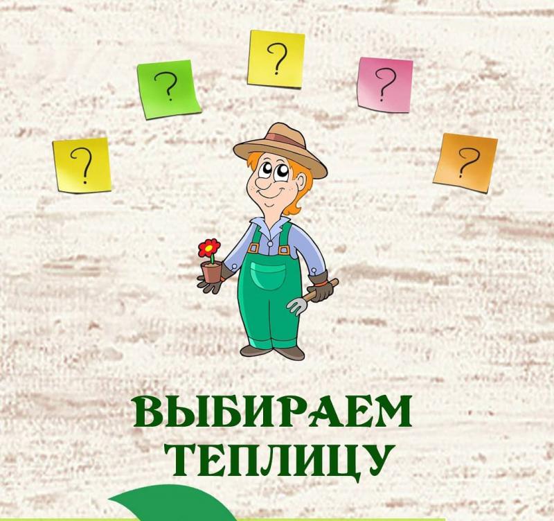 Выбираем теплицу 