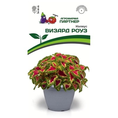 Колеус "Визард Роуз" 10шт недорого в Хабаровске