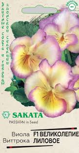 Виола (фиалка) "Великолепие лиловое", 5шт недорого в Хабаровске