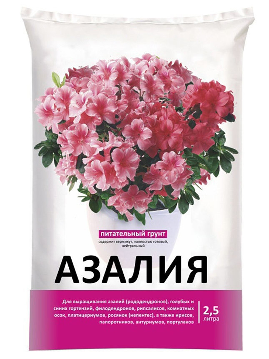Азалия, грунт 2,5л недорого в Хабаровске