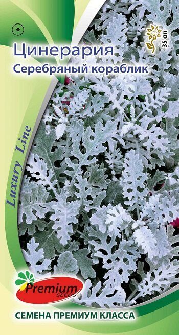 Цинерария "Серебряный кораблик", 0,1г недорого в Хабаровске
