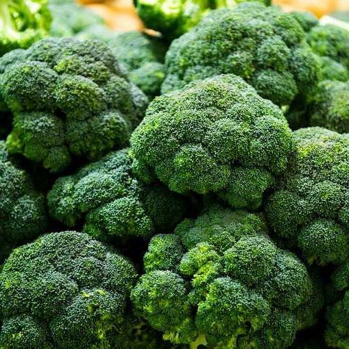 Капуста брокколи "Гном" (Седек) недорого в Хабаровске