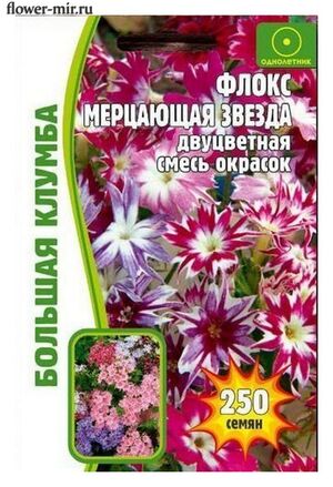 Флокс "Мерцающая звезда" смесь, 200шт недорого в Хабаровске