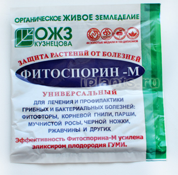 "Фитоспорин-М" паста, 100г недорого в Хабаровске